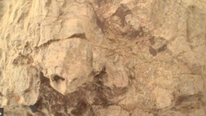 Perseverance Rover Spots Turtle-Shaped Rock on Mars, Revealing Red Planet's Sculpted Terrain