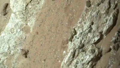 NASA's Perseverance Rover Finds Compelling Evidence Suggesting Past Life on Mars