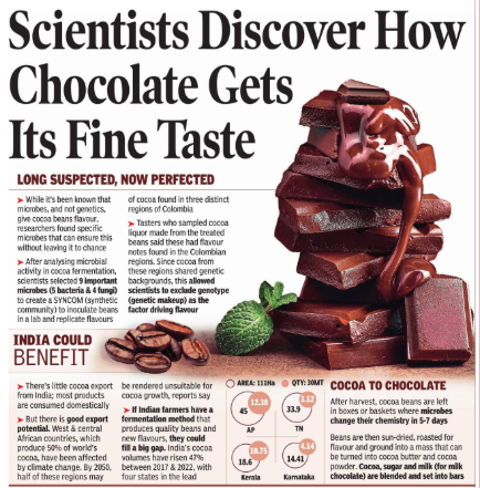 Scientists discover how chocolate gets its fine taste