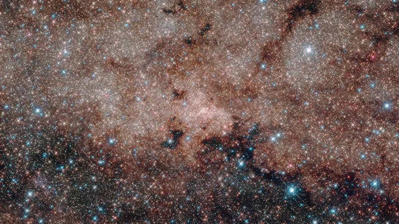 The Milky Way’s Nuclear Star Cluster