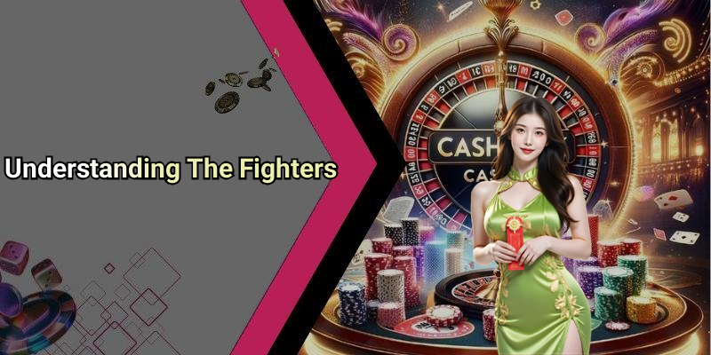 Understanding The Fighters