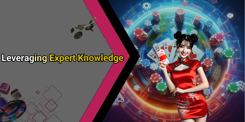 Leveraging Expert Knowledge